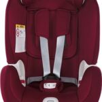 Chicco Seat Up Isofix 0-25 kg Red Passion Oto Koltuğu